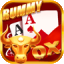 rummy aunty