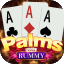 rainbow rummy lion king